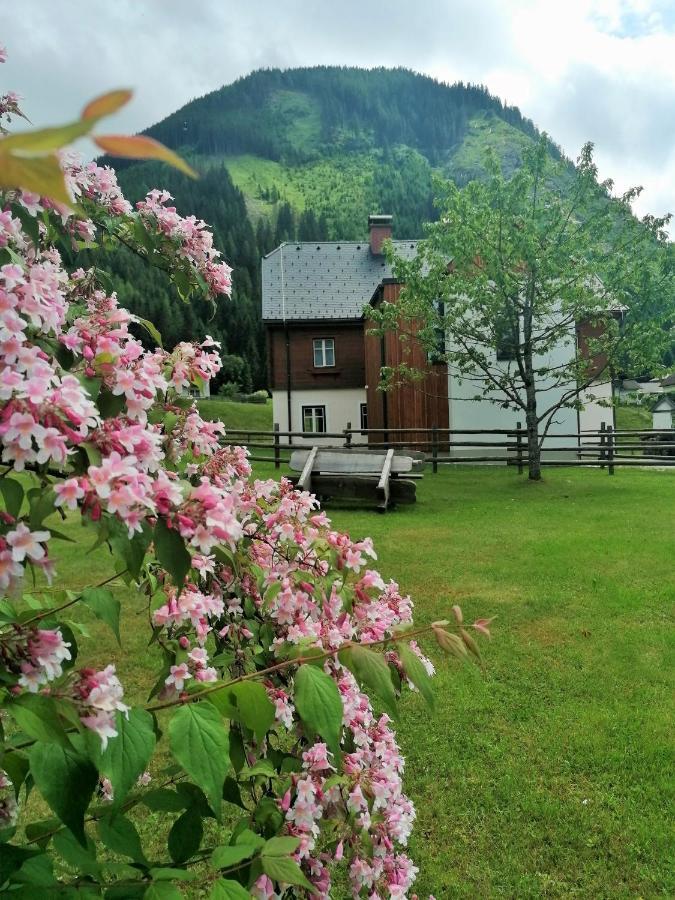 Himmlisch Urlauben St. Nikolai Apartment Sankt Nikolai im Solktal ภายนอก รูปภาพ