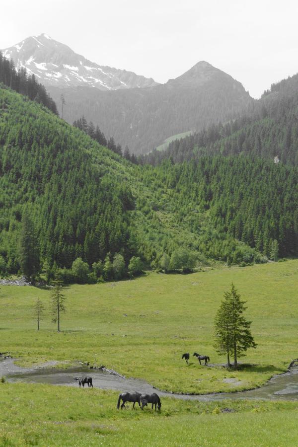 Himmlisch Urlauben St. Nikolai Apartment Sankt Nikolai im Solktal ภายนอก รูปภาพ